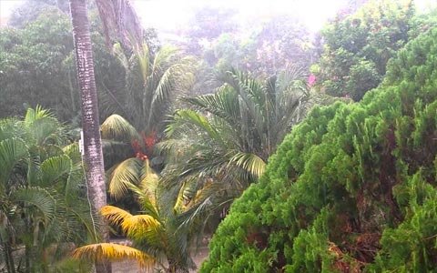 Clima Jamaica octubre Clima Jamaica octubre