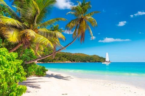 Guía de turismo sobre Jamaica