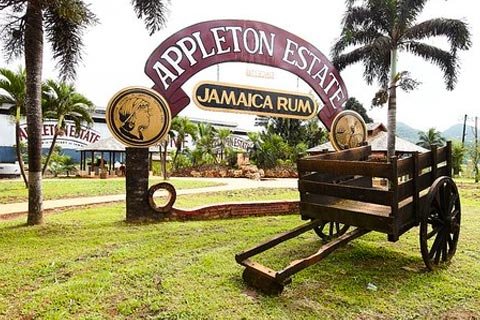 Guía para visitar Jamaica Guía para visitar Jamaica