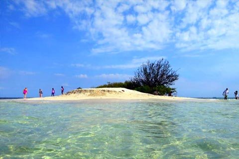 Imprescindible de visitar en Jamaica Imprescindible de visitar en Jamaica