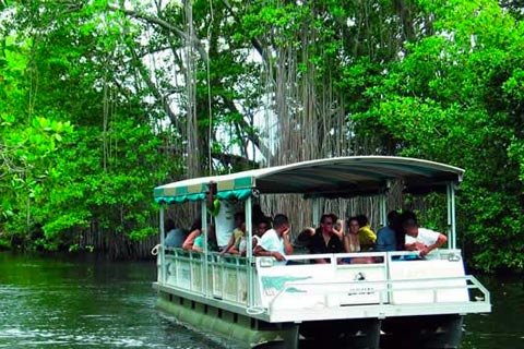 Mejores lugares para visitar en Jamaica Mejores lugares para visitar en Jamaica