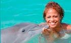 nadar con delfines jamaica nadar con delfines jamaica